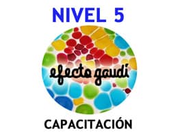 Efecto Gaudí nivel 5