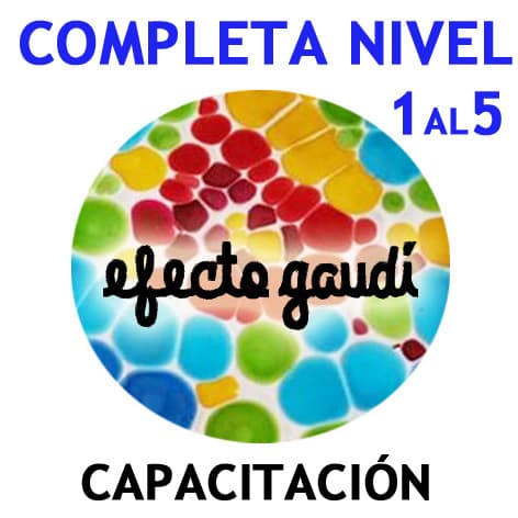 Capacitación completa