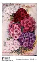 - Decoupage autoadhesivo 14x20 Sin troquel Modelo 124 -