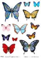 - Transferencia color A4 Modelo 017 -