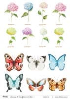 - Transferencia color A4 Modelo 037 -