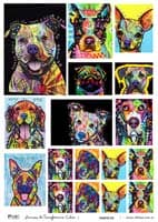 - Transferencia color A4 Modelo 049 -