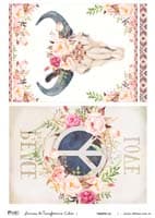 - Transferencia color A4 Modelo 152 -