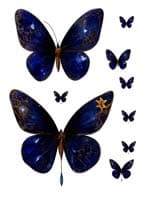 - Transfer UV A5   049 -