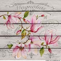 - Vinilo Esmerilado 15x15 Modelo 022 -